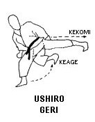 Базовые удары ногами в каратэ Киокусинкай